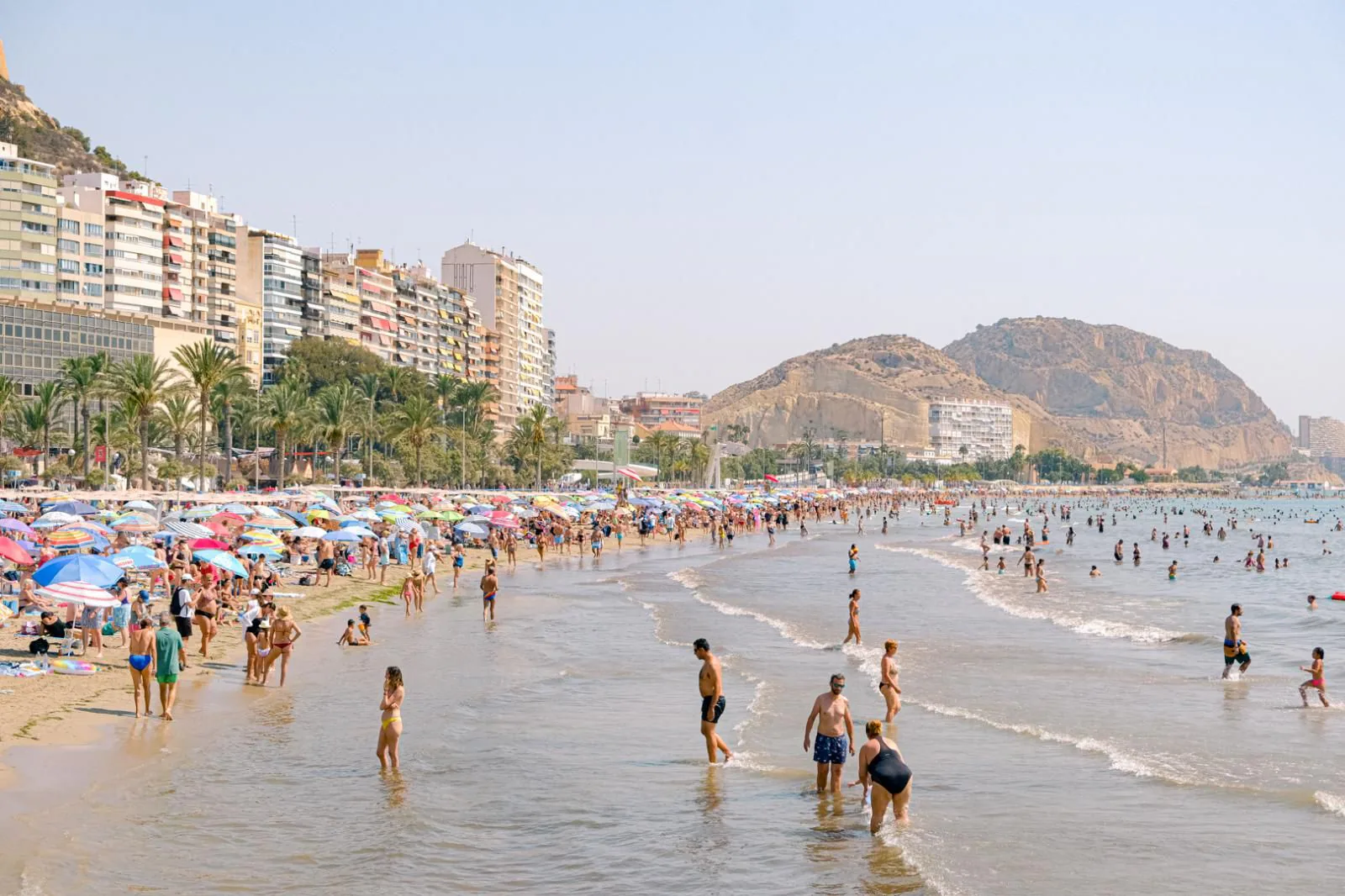alicante tips